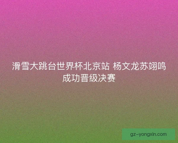 滑雪大跳台世界杯北京站 杨文龙苏翊鸣成功晋级决赛